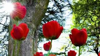 Bollywood Superhit Songs of 1992 (HQ) {???????}